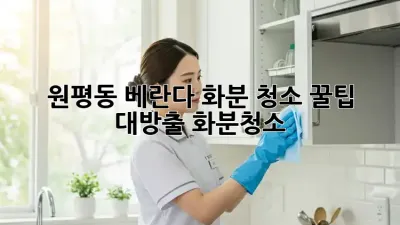 원평동 베란다 화분 청소🌱 꿀팁 대방출! #화분청소